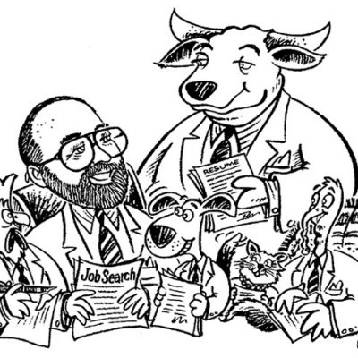Illustration Beef and Poultry recruiter/Austin, TX 